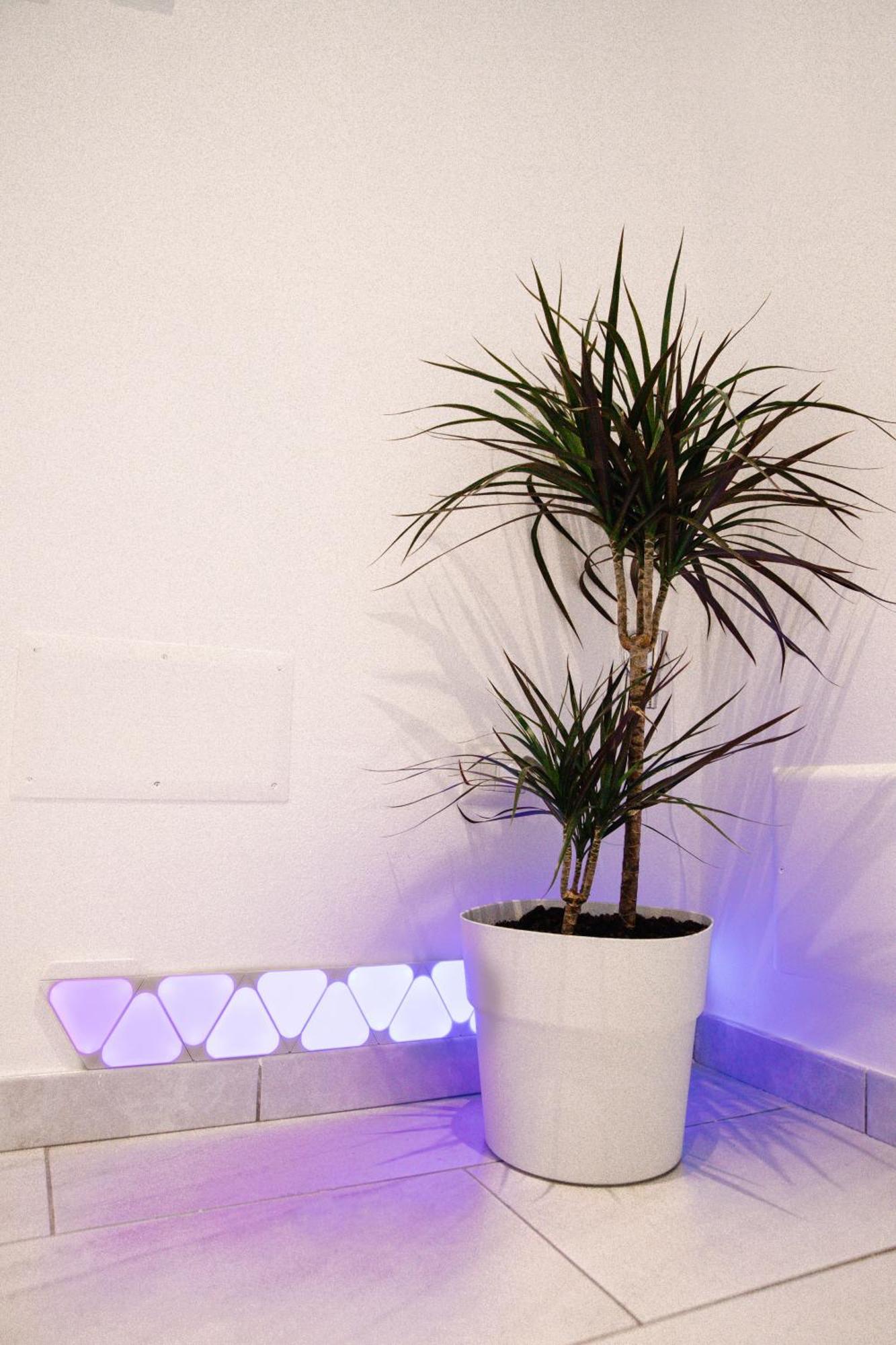Apartamento Dream Homes *